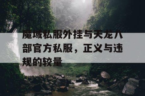 魔域私服外挂与天龙八部官方私服，正义与违规的较量