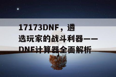 17173DNF，遴选玩家的战斗利器——DNF计算器全面解析