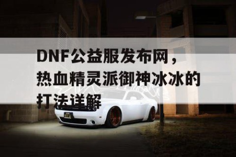 DNF公益服发布网，热血精灵派御神冰冰的打法详解