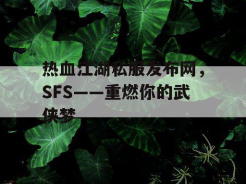 热血江湖私服发布网，SFS——重燃你的武侠梦