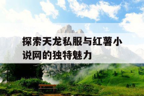 探索天龙私服与红薯小说网的独特魅力