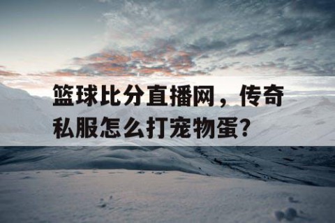 篮球比分直播网,传奇私服怎么打宠物蛋?