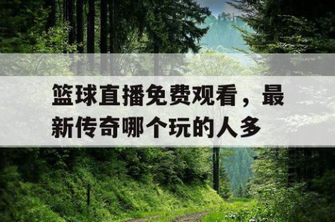 篮球直播免费观看，最新传奇哪个玩的人多