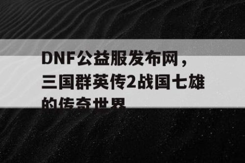 DNF公益服发布网，三国群英传2战国七雄的传奇世界