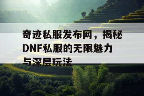 奇迹私服发布网，揭秘DNF私服的无限魅力与深层玩法