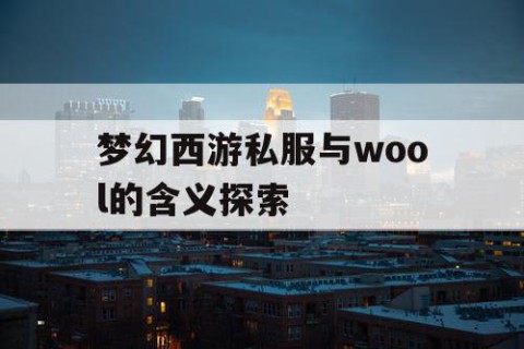 梦幻西游私服与wool的含义探索