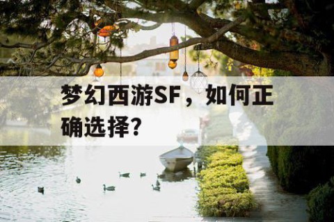 梦幻西游SF，如何正确选择？