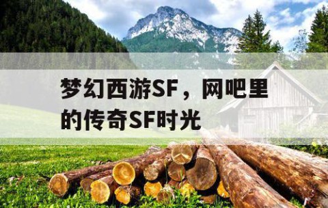 梦幻西游SF，网吧里的传奇SF时光