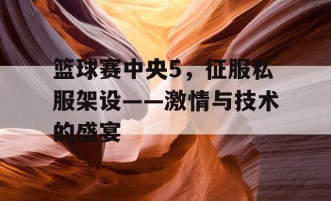 篮球赛中央5，征服私服架设——激情与技术的盛宴