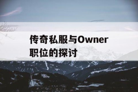 传奇私服与Owner职位的探讨