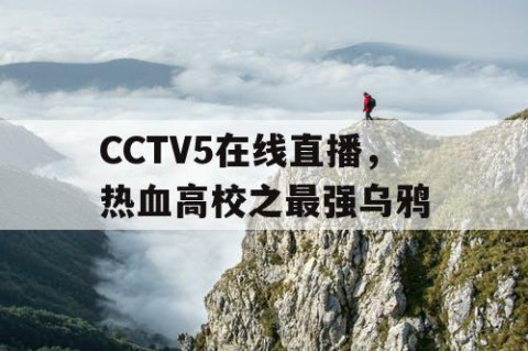CCTV5在线直播,热血高校之最强乌鸦
