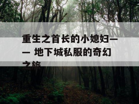 重生之首长的小媳妇—— 地下城私服的奇幻之旅