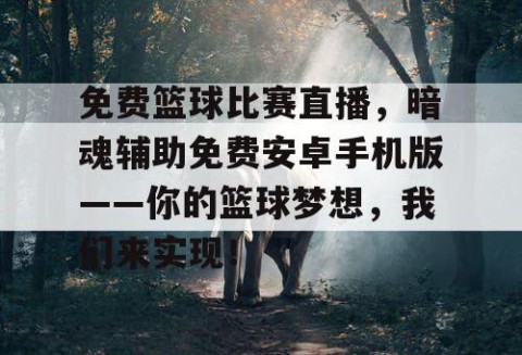 免费篮球比赛直播，暗魂辅助免费安卓手机版——你的篮球梦想，我们来实现！