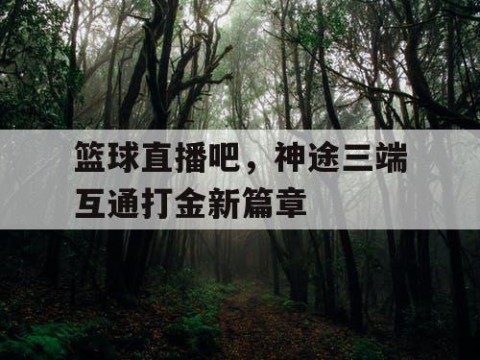 篮球直播吧，神途三端互通打金新篇章