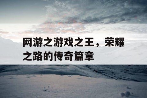 网游之游戏之王，荣耀之路的传奇篇章