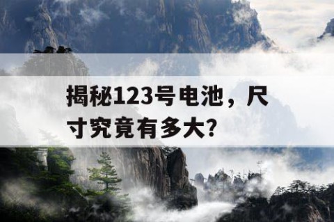 揭秘123号电池，尺寸究竟有多大？