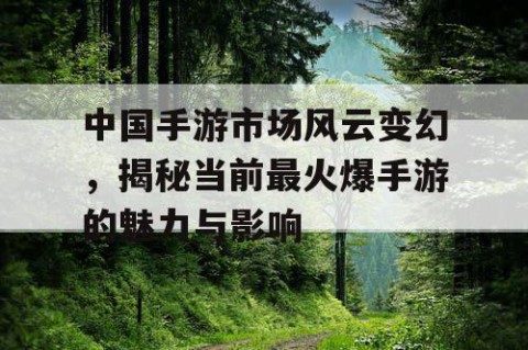 中国手游市场风云变幻，揭秘当前最火爆手游的魅力与影响