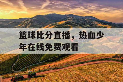 篮球比分直播，热血少年在线免费观看