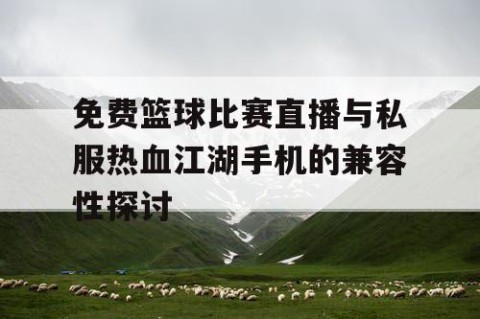 免费篮球比赛直播与私服热血江湖手机的兼容性探讨