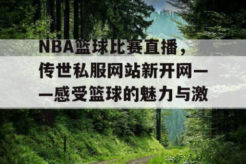 NBA篮球比赛直播，传世私服网站新开网——感受篮球的魅力与激情