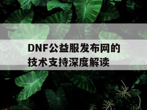 DNF公益服发布网的技术支持深度解读