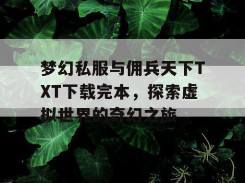 梦幻私服与佣兵天下TXT下载完本，探索虚拟世界的奇幻之旅
