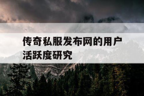 传奇私服发布网的用户活跃度研究