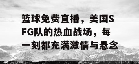 篮球免费直播，美国SFG队的热血战场，每一刻都充满激情与悬念