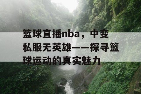 篮球直播nba，中变私服无英雄——探寻篮球运动的真实魅力
