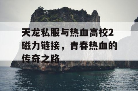 天龙私服与热血高校2磁力链接，青春热血的传奇之路