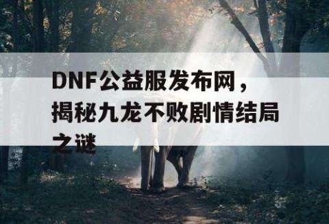 DNF公益服发布网，揭秘九龙不败剧情结局之谜
