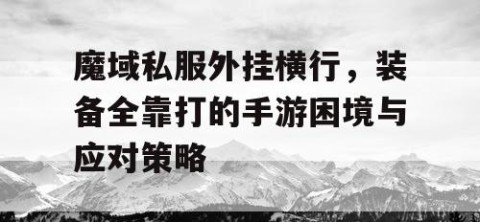 魔域私服外挂横行，装备全靠打的手游困境与应对策略