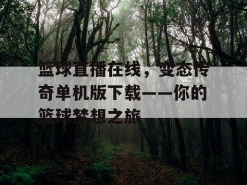 篮球直播在线，变态传奇单机版下载——你的篮球梦想之旅