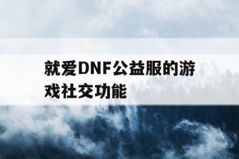 就爱DNF公益服的游戏社交功能