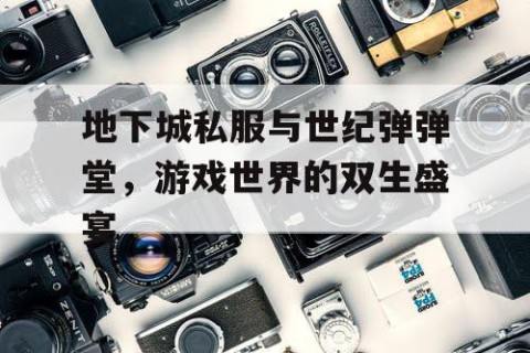 地下城私服与世纪弹弹堂，游戏世界的双生盛宴