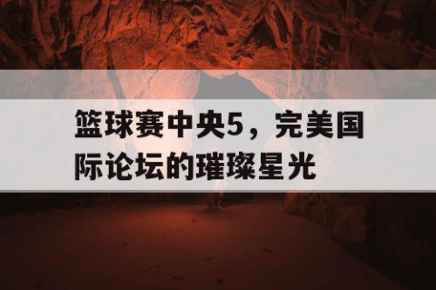 篮球赛中央5,完美国际论坛的璀璨星光