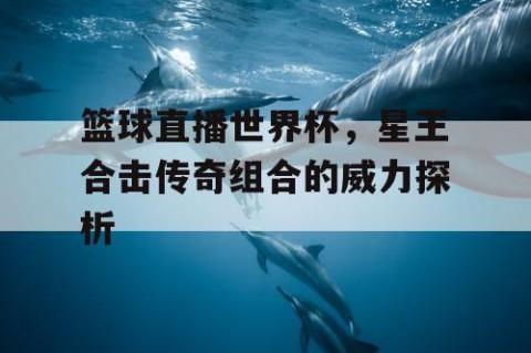 篮球直播世界杯，星王合击传奇组合的威力探析