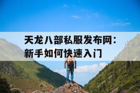 天龙八部私服发布网：新手如何快速入门