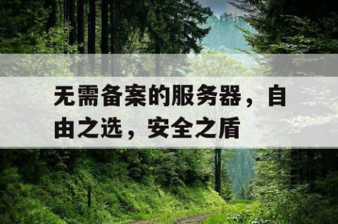 无需备案的服务器，自由之选，安全之盾