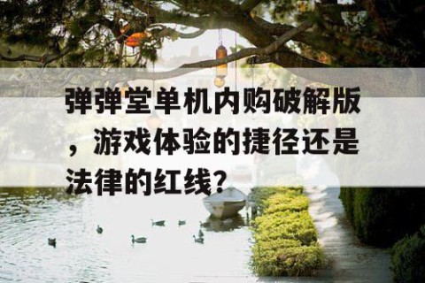 弹弹堂单机内购破解版，游戏体验的捷径还是法律的红线？