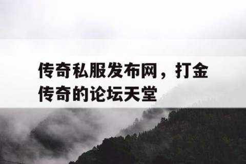 传奇私服发布网,打金传奇的论坛天堂