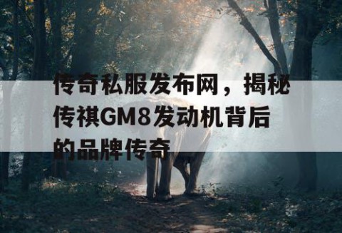 传奇私服发布网,揭秘传祺GM8发动机背后的品牌传奇