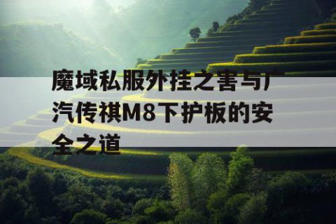 魔域私服外挂之害与广汽传祺M8下护板的安全之道
