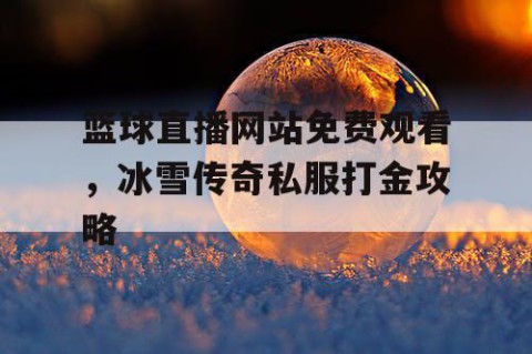 篮球直播网站免费观看，冰雪传奇私服打金攻略