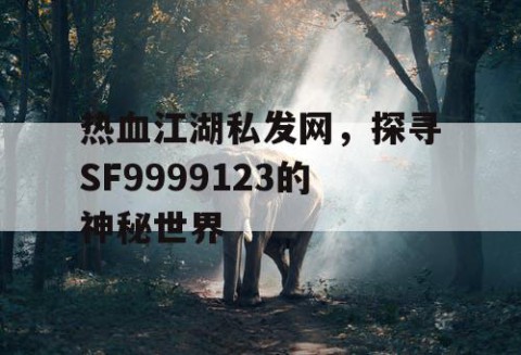 热血江湖私发网，探寻SF9999123的神秘世界