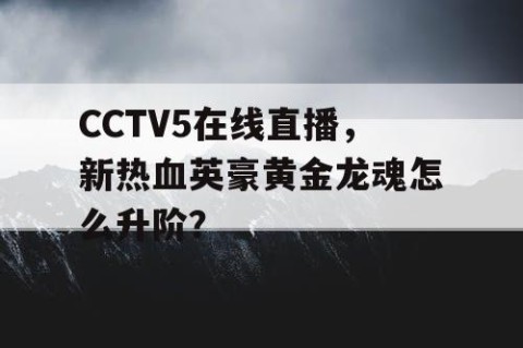 CCTV5在线直播，新热血英豪黄金龙魂怎么升阶？