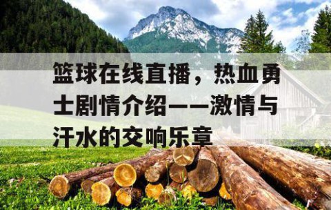 篮球在线直播，热血勇士剧情介绍——激情与汗水的交响乐章