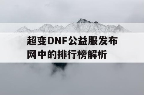 超变DNF公益服发布网中的排行榜解析