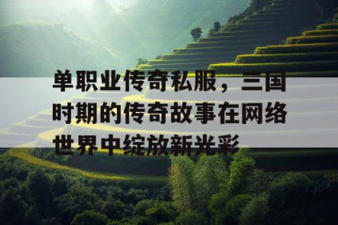 单职业传奇私服,三国时期的传奇故事在网络世界中绽放新光彩