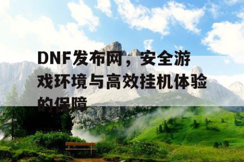DNF发布网，安全游戏环境与高效挂机体验的保障